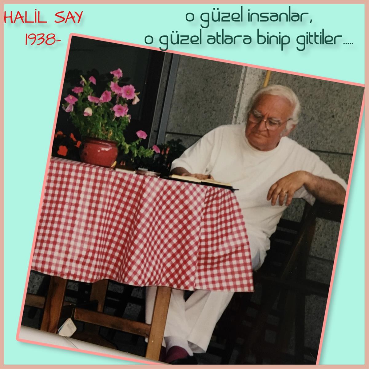 halil say 1